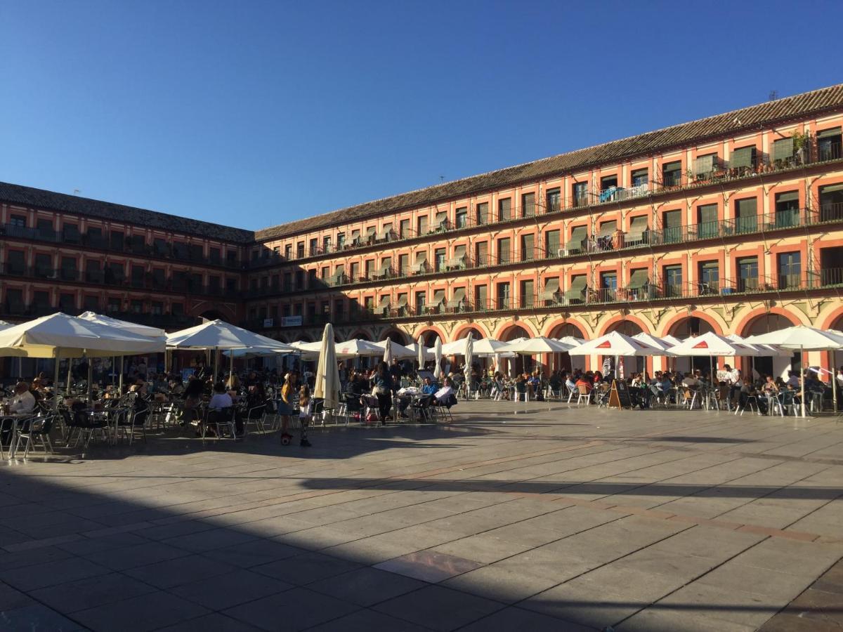 Apartamento Plaza De La Corredera Córdoba Exteriör bild